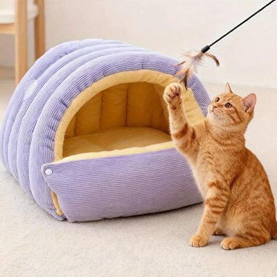 Lit-pour-Chat-assis-a-cote-joue