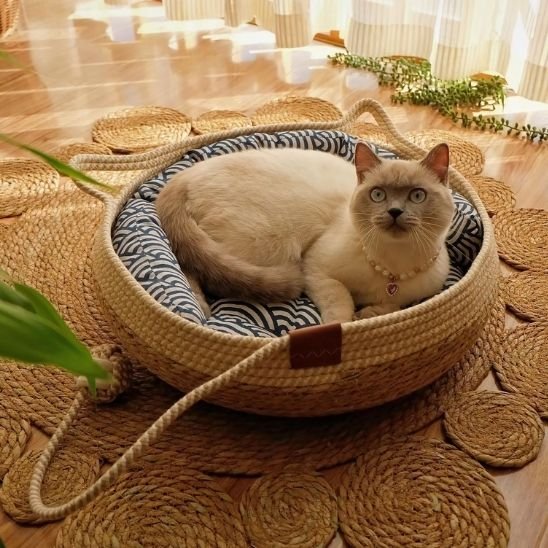 Lit-pour-chat-couche-dans-le-panier