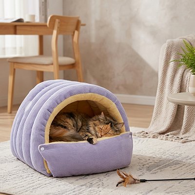 Lit-pour-Chat-coucher-dans-le-lit  