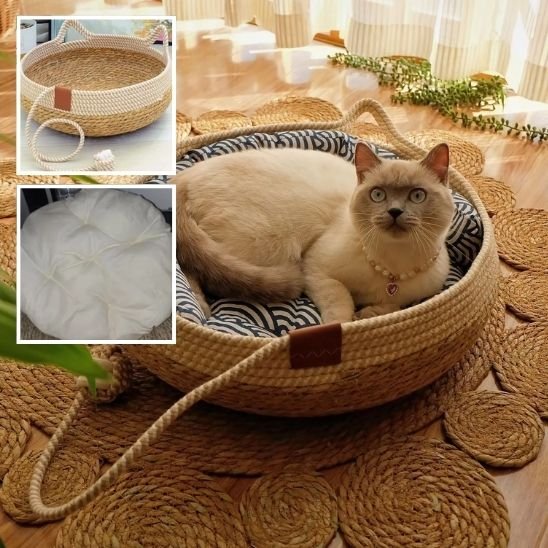 Lit-pour-chat-dans-chat-dans-le-salon