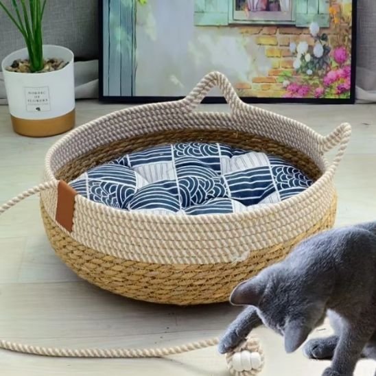 Lit-pour-chat-qui-joue