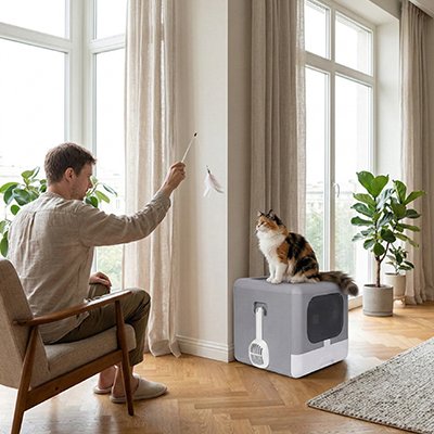 Maison-de-toilette-pour-Chat-assis-sur-la-maison 