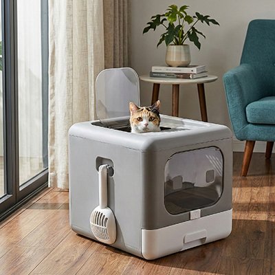 Maison-de-toilette-pour-Chat-salon 