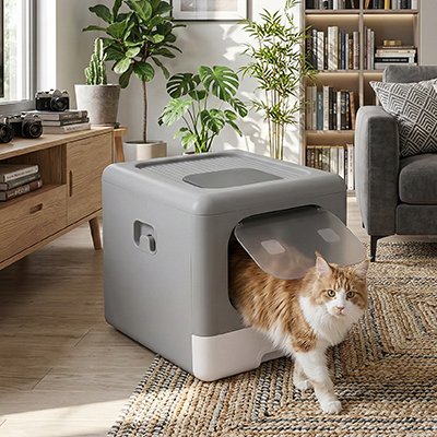 Maison-de-toilette-pour-Chat-sort-de-la-maison 
