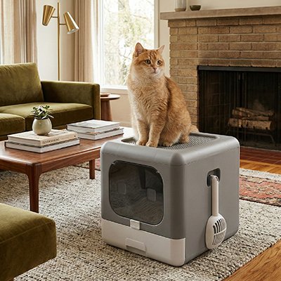 Maison-de-toilette-pour-Chat-sur-la-maison