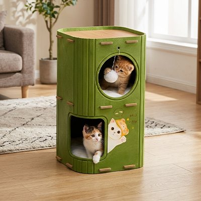 Niche-pour-chat-dans-le-salon