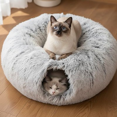 Niche-pour-chat-deux-chat-coucher