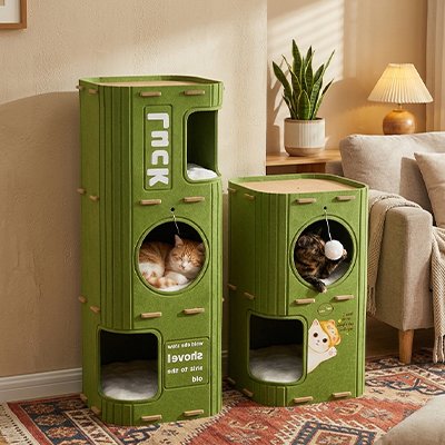 Niche-pour-chat-grand-petit-dans-le-salon
