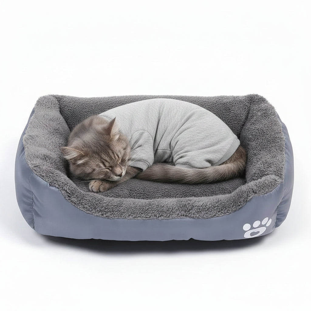 niche pour chat reversible gris avec un chat qui dort avec une tenue gris