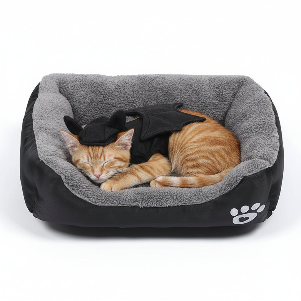 niche pour chat reversible noir avec un chat qui dort avec une tenue noir