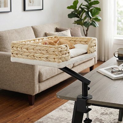 Panier-Chat-avec-chaton-endormie