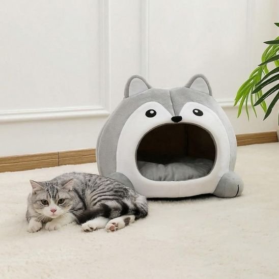 Panier-pour-chat-coucher-a-coter-du-panier