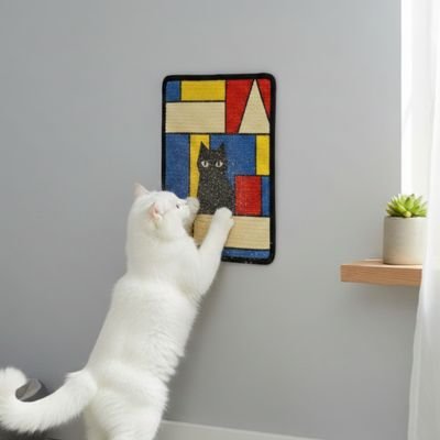 Tapis-griffoir-Chat-dans-le-salon 